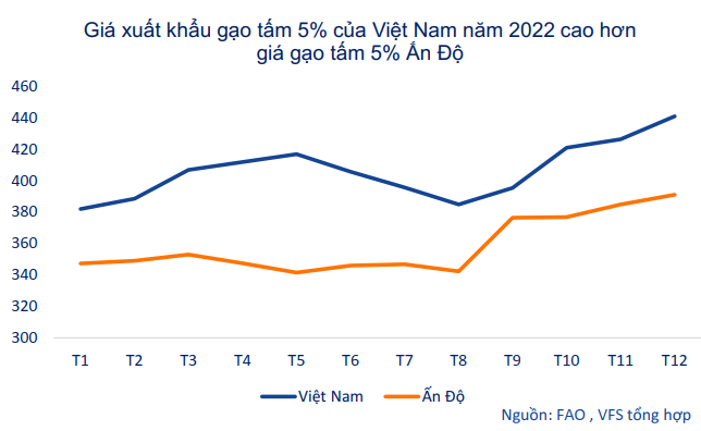 Nhóm ngành dẫn sóng