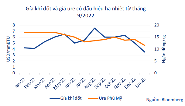 Nhóm ngành dẫn sóng