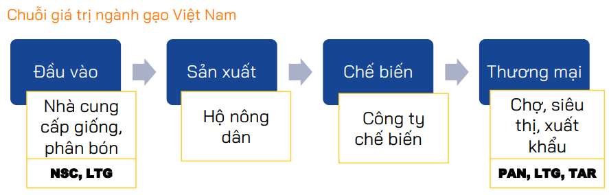 triển ngành gạo