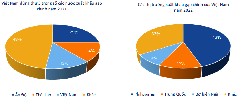 triển vọng ngành gạo