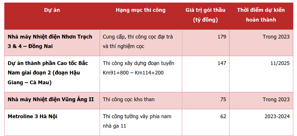 Tình hình các dự án