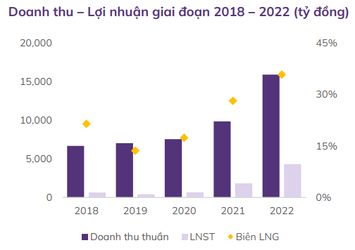 Doanh thu – Lợi nhuận giai đoạn 2018 – 2022