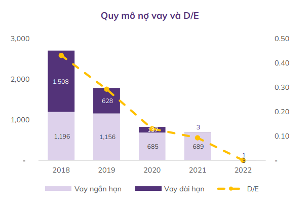 Quy mô nợ vay và D/E
