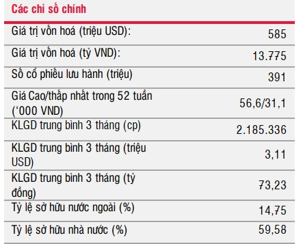 chỉ số tài chính