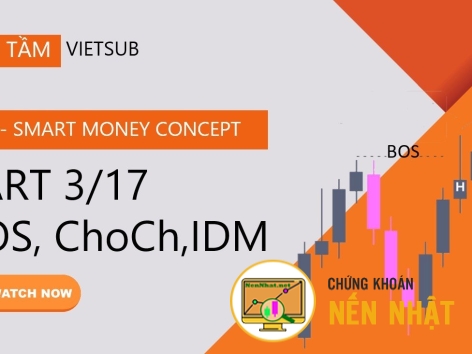 Phương pháp Smart Money Concept (SMC) - Part 3/17 - Ôn tập mapping cấu trúc - BOS - Choch - Inducement