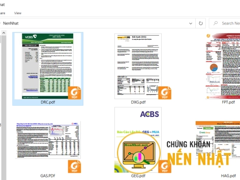 Mở file Pdf Phân tích kỳ vọng đầu tư cổ phiếu trong Amibroker
