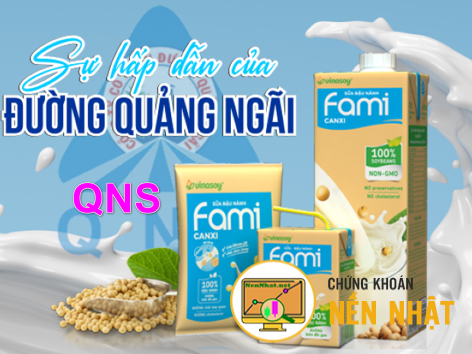 Công Ty Cổ Phần Đường Quảng Ngãi (QNS) - 2024
