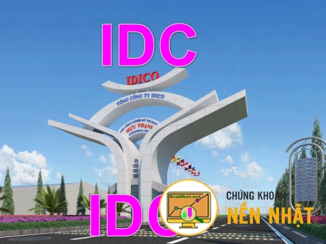 TỔNG CÔNG TY IDICO (IDC) 2024