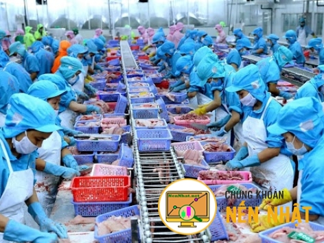 Thủy sản - Kì vọng hồi phục từ Q4/2023