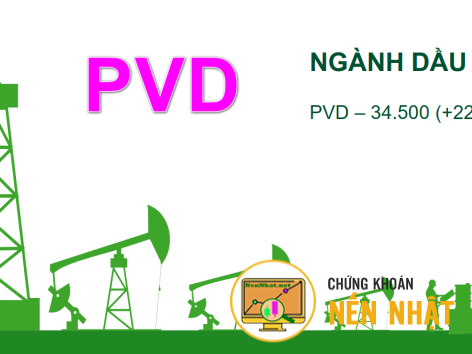 Tổng CTCP Khoan và Dịch vụ Khoan Dầu khí (PVD) 2024