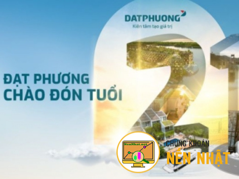 DPG - CTCP Tập đoàn Đạt Phương - Kết quả kinh doanh Quý 2/2023 sụt giảm mạnh