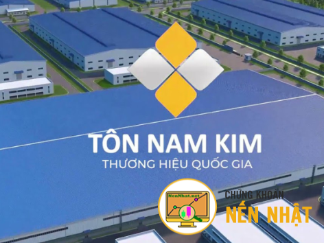 NKG - CTCP Thép Nam Kim - Khó khăn nhất đã qua
