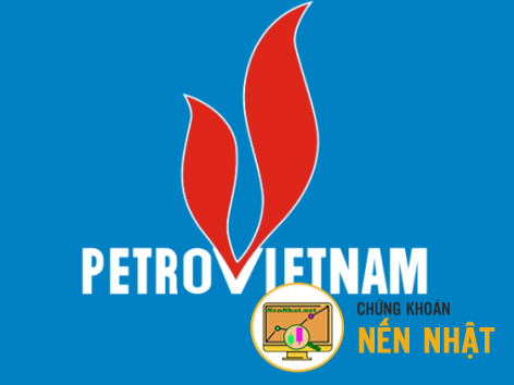 PVT - Tổng công ty Cổ phần Vận tải Dầu khí