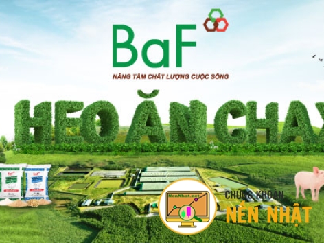 BAF - CTCP NÔNG NGHIỆP BAF VIỆT NAM