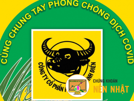BFC - Báo cáo ngắn - Công ty cổ phần Phân bón Bình Điền
