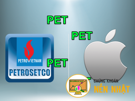PET - Tổng CTCP Dịch vụ Tổng hợp Dầu khí