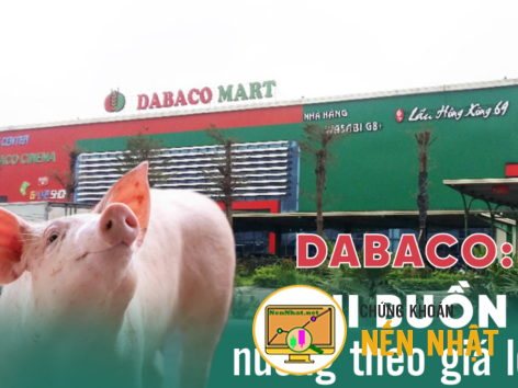DBC - CTCP Tập đoàn Dabaco Việt Nam