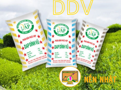 DDV - Công ty cổ phần DAP - VINACHEM