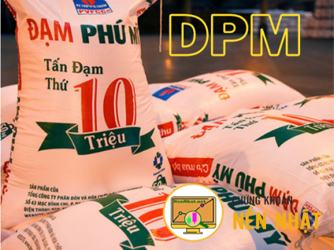 DPM - Tổng Công ty Phân bón và Hóa chất Dầu khí