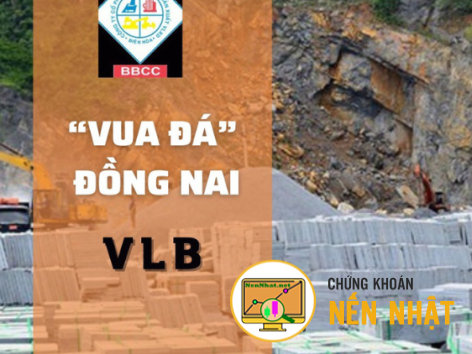 VLB - CTCP Xây dựng và Sản xuất Vật liệu Xây dựng Biên Hòa