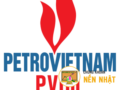OIL - Tổng Công ty Dầu Việt Nam