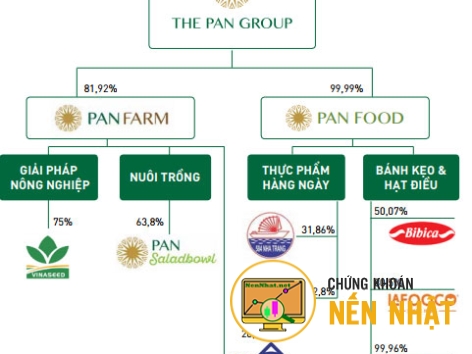 PAN - CTCP TẬP ĐOÀN PAN