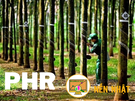 PHR - Công ty cổ phần Cao su Phước Hòa
