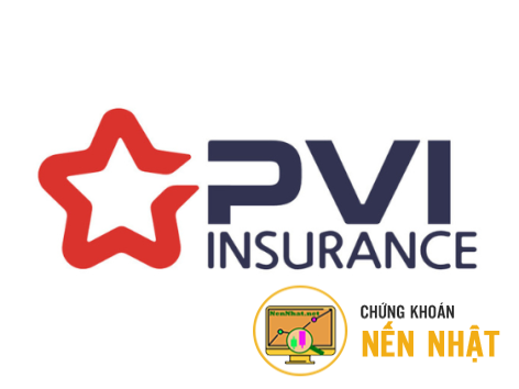 PVI - Công ty Cổ phần PVI